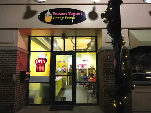 Berry Fresh Frozen Yogurt