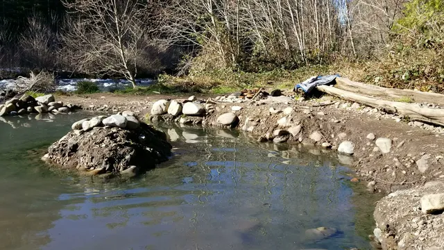 McCredie Hot Springs