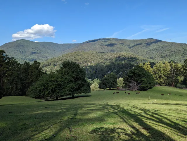 Mount Donna Buang and Mount Victoria Hiking Trail