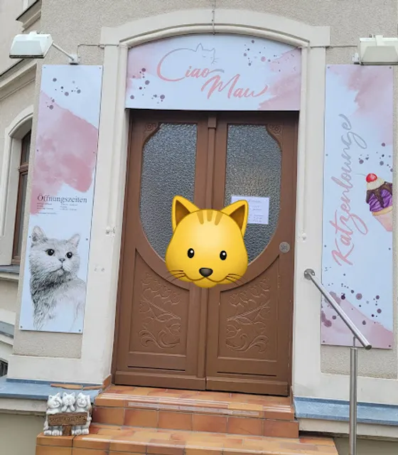 Cat Cafe - Cat Lounge Ciao Mau