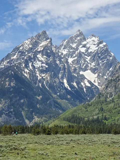 Cathedral Group Turnout