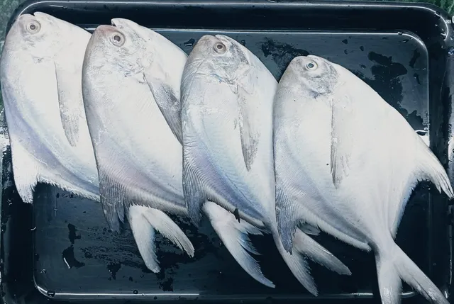 Fish Tale Simplified Seafood - Online Service