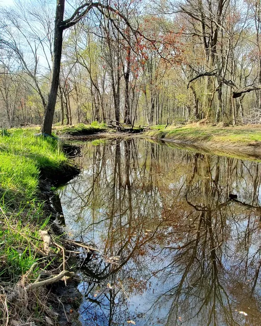Ireland Brook Conservation Area
