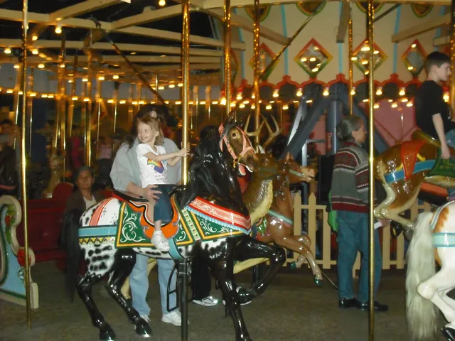 Carousel Wishes and Dreams