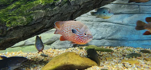 Henry Horton State Park Visitor Center