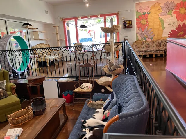 don’t stress meowt - Cat Cafe