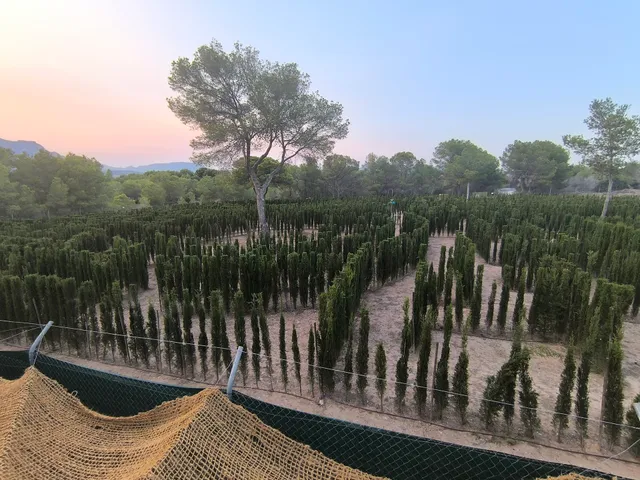 Laberint Mazeland Benidorm