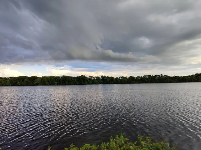 Regatta Festival Field