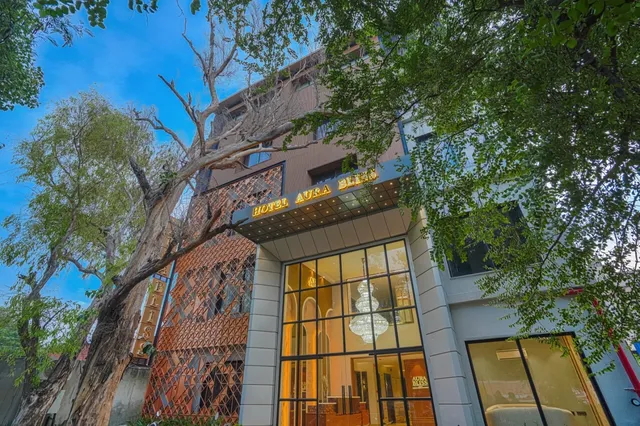 Levelup Plus Aura Bliss