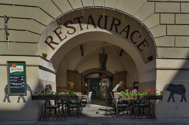 U Zlatého Slona Brasserie