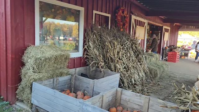 Cicero "Pumkin" Patch