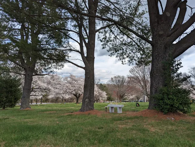 Norbeck Memorial Park