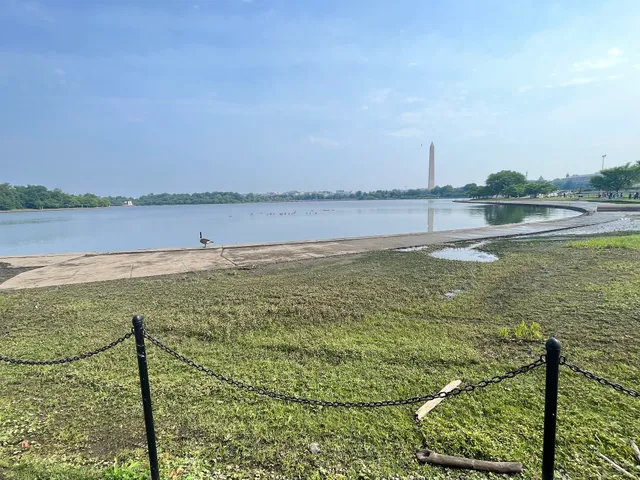 Tidal Basin