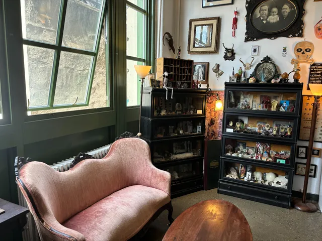The Morbid Anatomy Library and Gift Shop