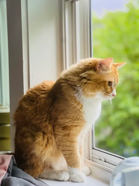 Animal Protection Center of Southeastern Massachusetts