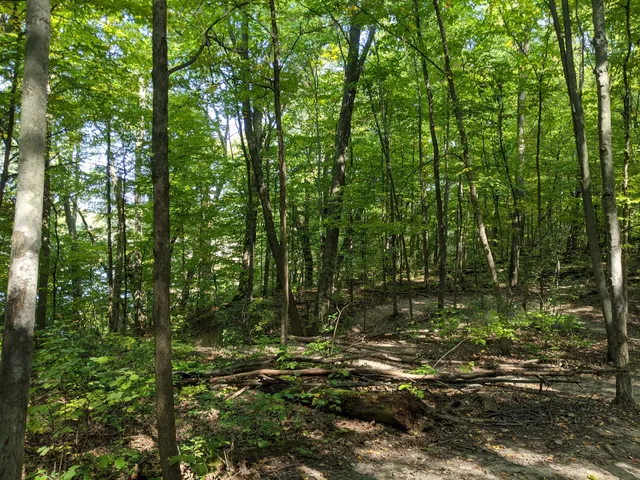 Pontiac Lake Mountain Bike Trailhead