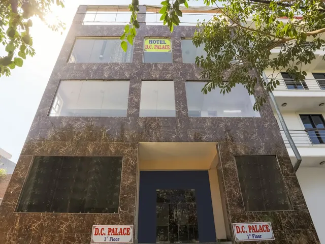 OYO Flagship D C Palace