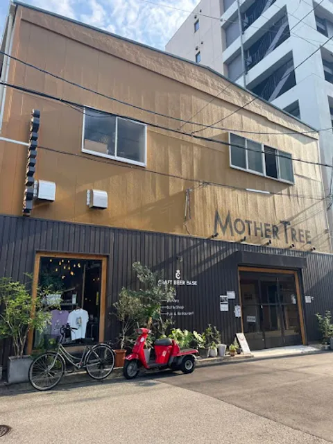 CRAFT BEER BASE MOTHER TREE
