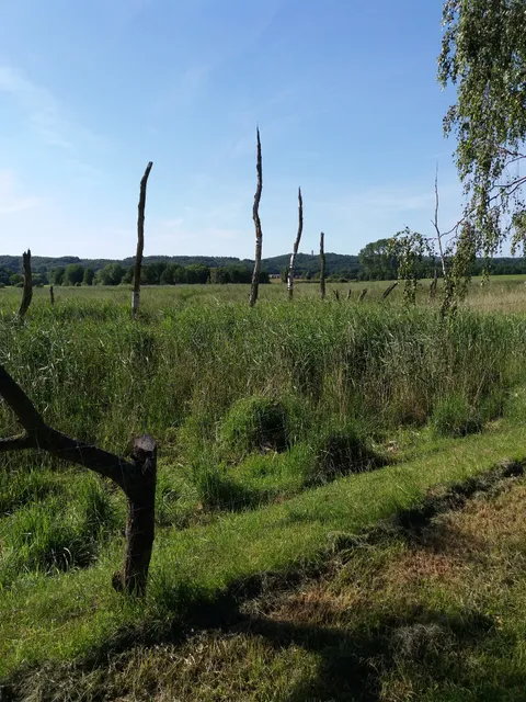 Apartments Beyer - Ostseebad Binz
