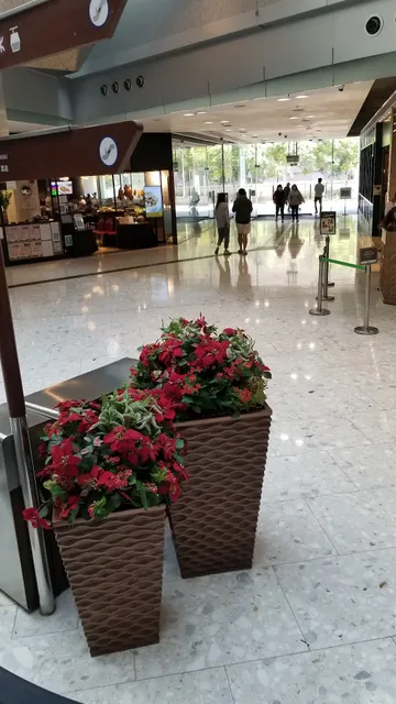 Citygate Tung Chung North