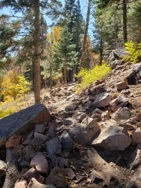 Truck Trails Big Bear Ca