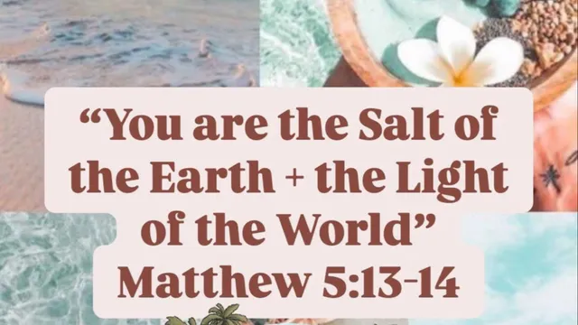 Salt + Light Hair Lounge