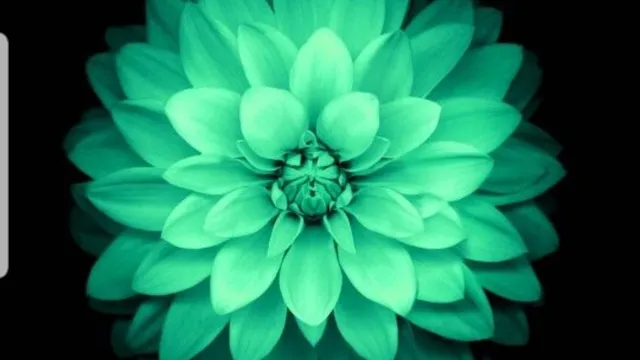 The Green Lotus(Mobile Dispensary)