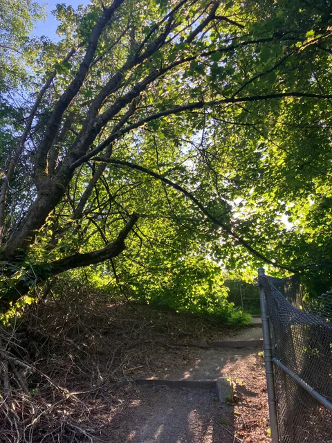 Jackson Park Trail