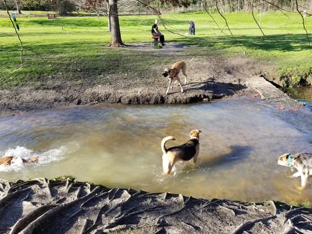 Macon Dog Park