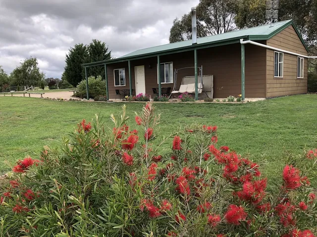 High Country Trail Rides and Farm Stay