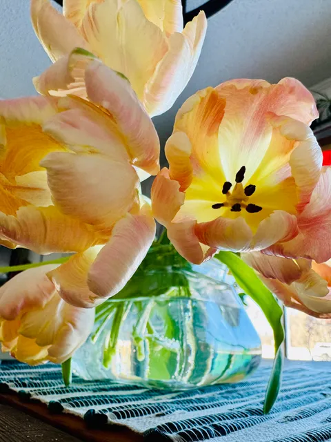 The Pollination Station