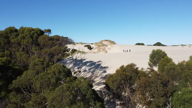 Henty Dunes Picnic Area