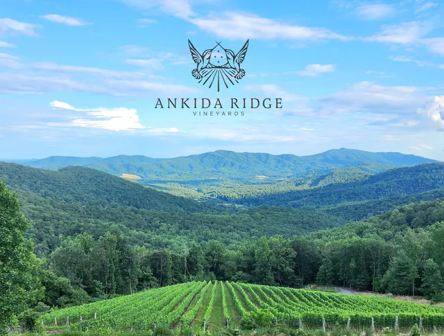 Ankida Ridge Vineyards