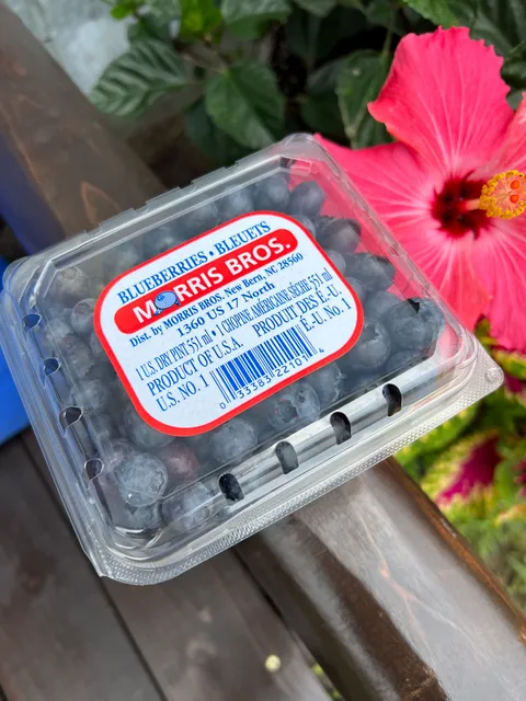 Morris Blueberry Farm