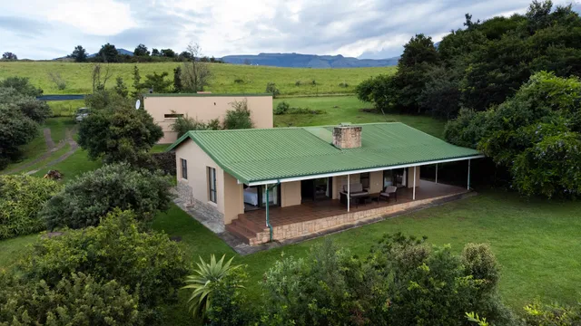 Drakensberg Vultures View