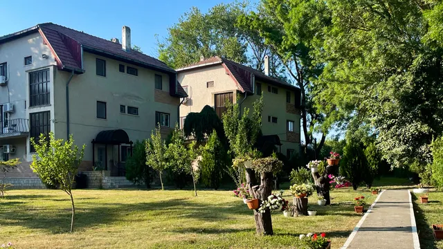 Complex Vile SunSilva