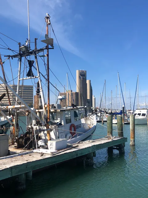 Corpus Christi Marina