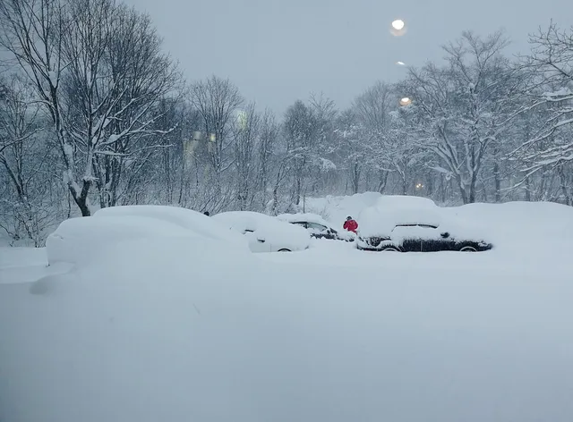 Hakubanosatoshendorufu Yusuhosuteru