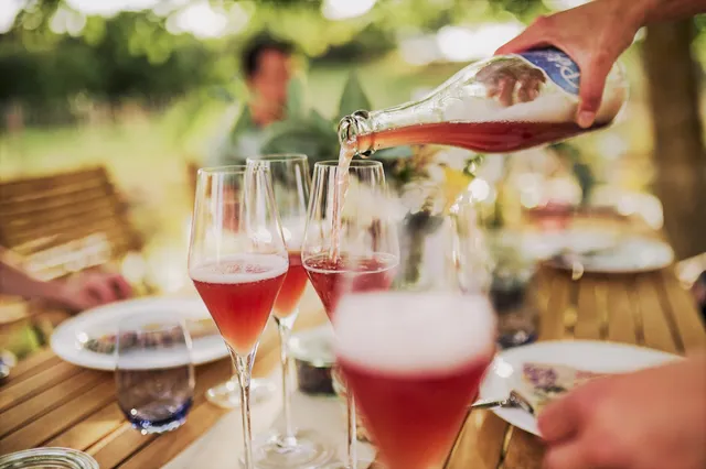 BioWeingut & Landhotel Gänz