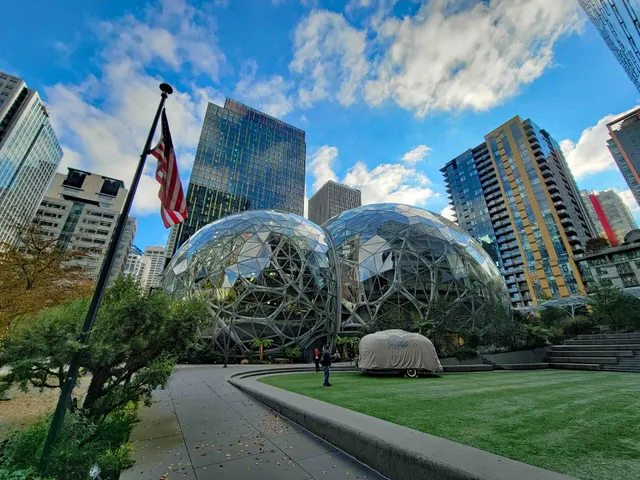 Amazon - Day 1 Dog Park