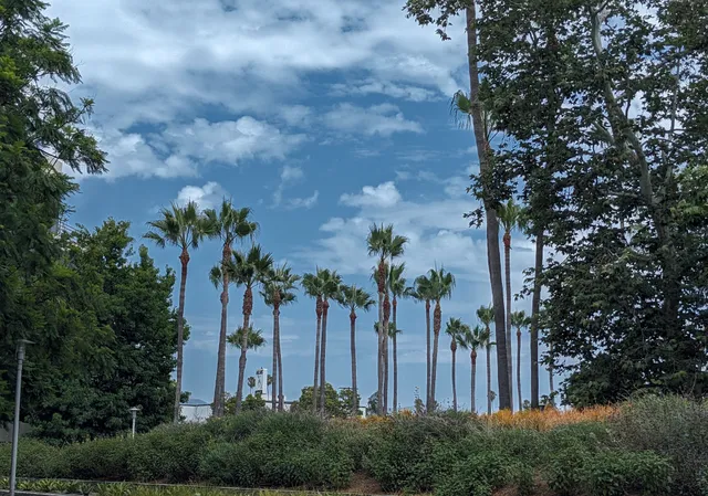 Colorado Center Park