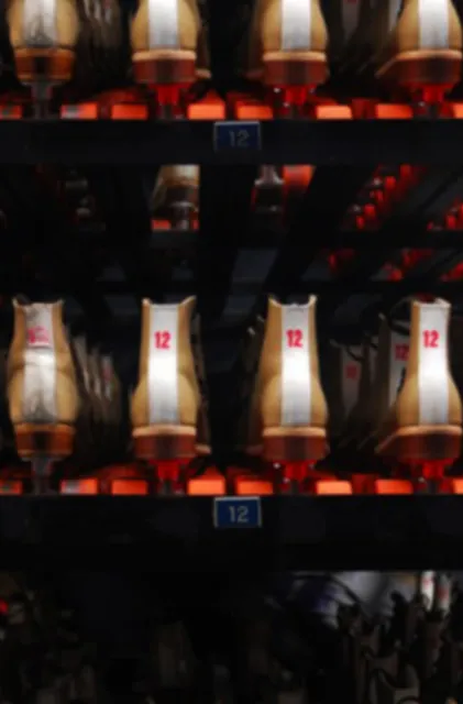 The Wheelhouse Roller Rink