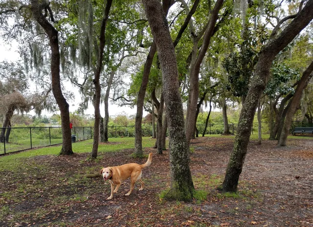 Safety Harbor Dog Park