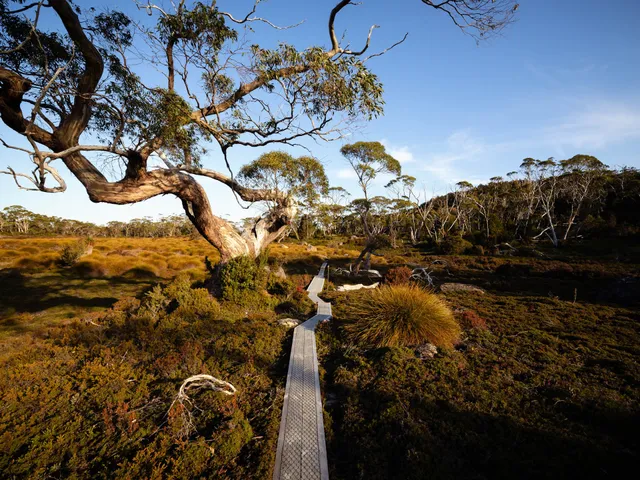 Tasmanian Expeditions