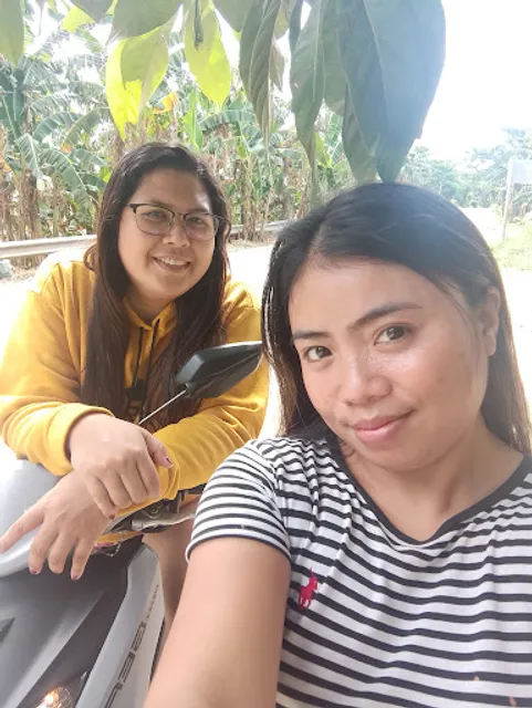 Ma Maison Bistro Group Restaurant