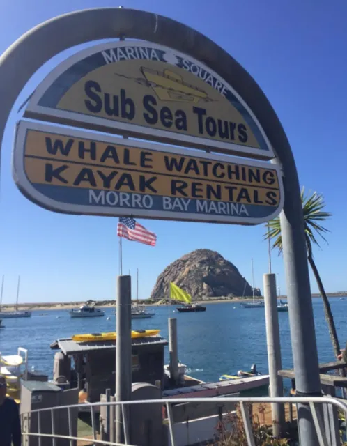 Sub Sea Tours & Kayaks