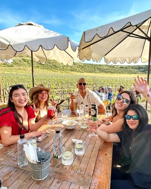 Valle De Guadalupe Tours | Wine Tours Baja