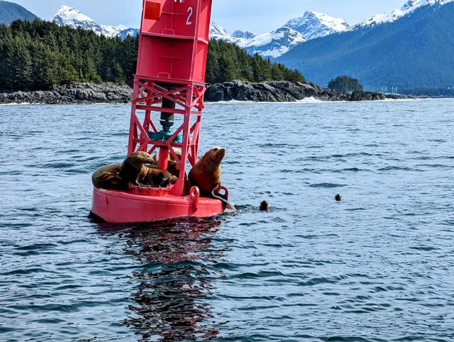 Sitka Sea Level Adventures