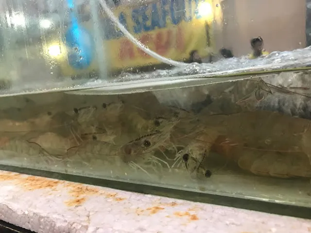 Bola Seafood ACUI PIK