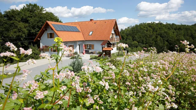 Gästehaus Waldpanorama